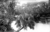 Natural scenery by unidentified river