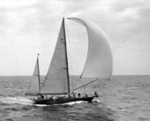 Sailboat on the water