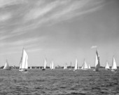 Sailboats on the water