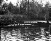 Remains of the steamer "David L. Yulee" at Yulee Bend on the Suwannee River - Florida