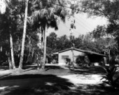 Picnic area at the Collier-Seminole State park