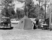 Visitors camping at the Highlands Hammock State Park near Sebring, Florida.