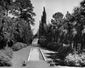 View showing the reflecting pool at Killearn Gardens in Tallahassee, Florida.