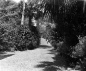 View showing a visitor on a garden path at Killearn Gardens State Park in Tallahassee, Florida.