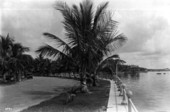 View of the sea-wall at Miramar.