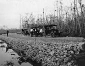 Cars parked on the side of the Tamiami Trail - Monroe County, Florida