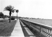 Looking down the world's longest sidewalk - Tampa, Florida