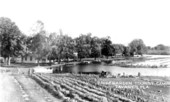 Palm Garden tourist camp on Dead River - Tavares, Florida.