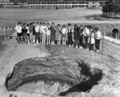 Florida High School students examining sinkhole - Tallahassee, Florida.