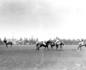 Polo match - Miami Beach, Florida