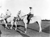 Carl G. Fisher on one of his polo ponies - Miami Beach, Florida