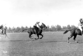 Polo match - Miami Beach, Florida