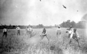 Oat harvesting on the Morris Farm in Jefferson County