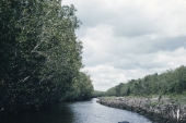 Riding along a canal in the Everglades - Everglades National Park, Florida