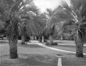 Grounds of the Florida Christian Home - Jacksonville, Florida.