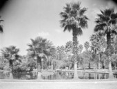 Confederate Park..