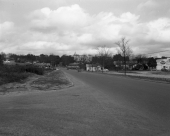 Looking south on Adams Street - Tallahassee, Florida.