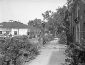 Looking north on Calhoun St. showing commercial buildings in Tallahassee.