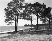 Wayside Park : Carrabelle, Florida