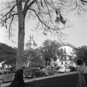 Two girls across the street from the old Florida State Capitol building.