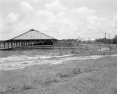 Gadsden County livestock market