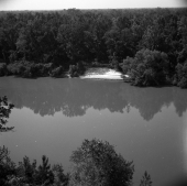 High bluff overlooking the Apalachicola River in the "Garden of Eden"