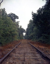 S.C.L. RR track between Tallahassee and St. Marks, Florida.
