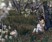 Photographer's wife and daughter in a tung nut tree grove.
