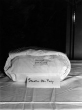 Sterilized OB package.