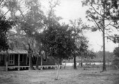 View showing the state isolation hospital in Tampa, Florida.