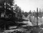 Man standing between rows of barbed wire fences at a quarantined isolation camp.