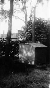 Concrete privy set up in Lakeland, Florida.