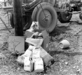 View showing bags of Enide 50w in Florida.