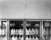 Freezer with milk and other products at Willis Dairy
