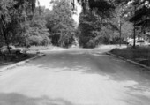 Looking east on 6th Street at Marion in Tallahassee