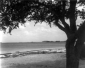 View of Shell Point Beach - Wakulla County