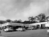 Tallahassee Tire Company - Tallahassee, Florida