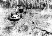 Tractor in the woods harvesting timber - Foley, Florida
