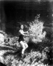 Underwater Christmas at the springs - Rainbow Springs, Florida.