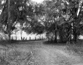 Roads wind through at Welaunee Plantation - Tallahassee, Florida .