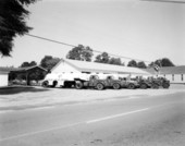 Trucks that belong to the Bay Petroleum Corporation