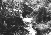 View from bridge across stream