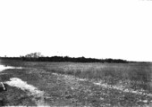 Everglades and hammock of bald cypress