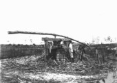 Child pressing juice from sugarcane