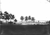 View of ocean from reservation of Charles Deering