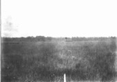 Prairie