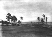 View from Charles Deering Estate