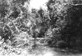 Stream near bridge on old road