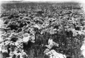 Reef of eroded limestone