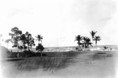 View from upper lawn to ocean